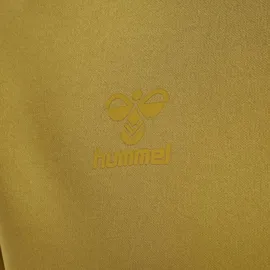 hummel Cima XK Hoodie Herren antique gold S