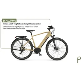 Prophete Entdecker 3.4 28 Zoll RH 54 cm Beige