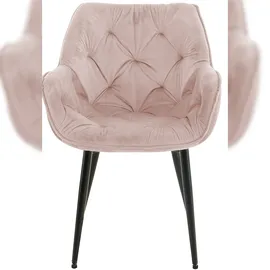 CLP 2er Set Stuhl Tanna Samt I Esszimmerstuhl Mit Armlehne I Gesteppter Polsterstuhl