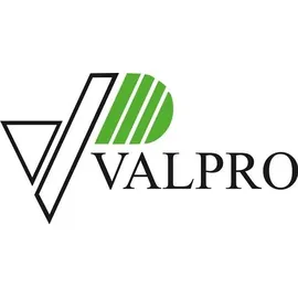 VALPRO Benzinkanister Proper 2 l Grün