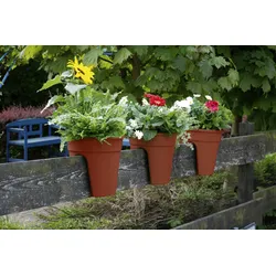 KHW Flowerclip, 3er Set, terra-Kartonverpackung