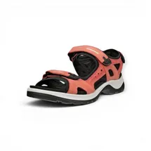 ECCO Offroad Damen burnt coal/spiced coral 41