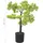 vidaXL Künstlicher Bonsai Zypresse mit Topf 60 cm Grün