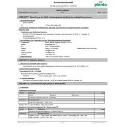 BUZIL Oberflächenreiniger Planta 10l Kanister 125791105 P911 ökologisch