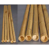 5er Set Bambusrohr gelb, Moso Bambus, gebleicht, Durch. 8- 9cm, Länge 300cm (BAY