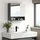 kleankin Spiegelschrank 17 cm grau