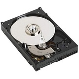 Dell NPOS 1 TB Festplatte 7.2k RPM SATA 6 GB 512n