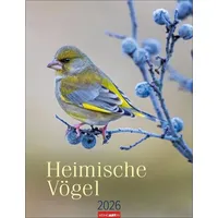 Weingarten Heimische Vögel Kalender 2026