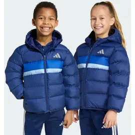 adidas Winterjacke Dark Blue/Team Royal Blue/Glow Blue 116