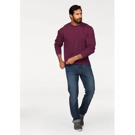 FRUIT OF THE LOOM Sweatshirt, im unifarbenen Design, rot