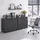 Schildmeyer Serie 1500 Aktenschrank 160,2 x 41 x 84,2 cm grau