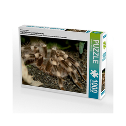 CALVENDO Puzzle CALVENDO Puzzle Vogelspinnen (Theraphosidae) 1000, 1000 Puzzleteile