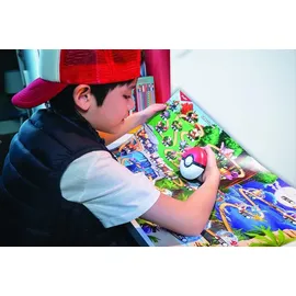 BOTI Pokémon Trainer Mission