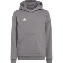 adidas Hoodie Grau 152