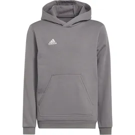 adidas Hoodie Grau 152