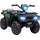 Homcom Elektroquad Kinder 12V grün/schwarz (1-tlg)