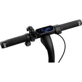 Segway Ninebot Kickscooter E2 D schwarz