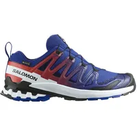 Salomon XA Pro 3D V9 GTX Herren Surf The Web/Fiery Red/White 42
