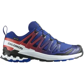 Salomon XA Pro 3D V9 GTX Herren Surf The Web/Fiery Red/White 42
