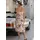 LASCANA Sommerkleid Midikleid apricot-bedruckt 34