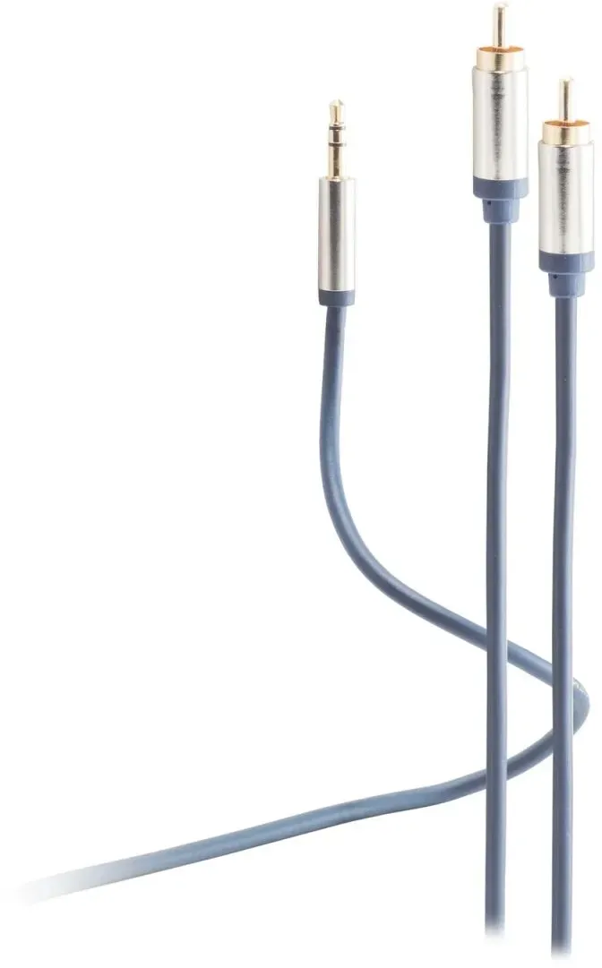 Flexline FL31-32051 Audio-Kabel 5 m 3.5mm 2 x RCA Blau