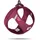 Curli Clasp Vest Geschirr Ruby M