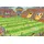 Schmidt Spiele Finale im Fußballstadion (Kinderpuzzle)