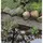 UBBINK Steinfolie Classic Anthrazit 0,6 x 5,0 m
