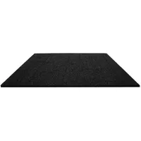 Primaflor Antivibrationsmatte, Waschmaschinenmatte 60x60cm