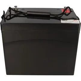 NPP Blei-Akku AGM NPD12-75 12V 75Ah zyklenfest