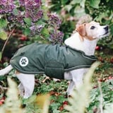 Kentucky Dogwear Hundemantel Waterproof 300g Olivgrün XXL