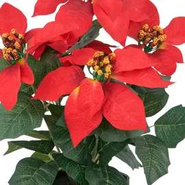 Creativ green Kunstblume CREATIV GREEN "Weihnachtsstern", rot, H:23cm, Polyester, Kunstpflanzen, mit üppiger Blütenpracht