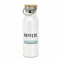 Ppd Isolierflasche Moin Steel Bottle 500 ml bunt