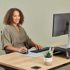 Fellowes Breyta Plus Ergonomische Maus schwarz
