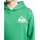 QUIKSILVER Omni Logo Green 16