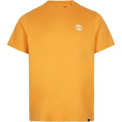 ONEILL Herren Hemd ELSOL T-SHIRT, Nugget, L