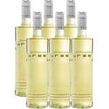 BREE Riesling Qualitätswein Weißwein feinherb - Besonderes Flaschendesign, Aromen von Pfirsich und Quitte, feiner Mineralik, aus Deutschland, 6 x 0.75 L