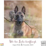 DuMont Buchverlag Kal. 2024 Ingo, Poldi, Freunde: Liebe ...