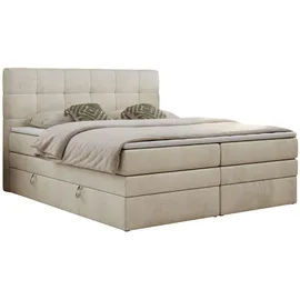 MKS Meble Boxspringbett mit Bettkasten ¦ beige ¦ Maße (cm): B: 120 H: 110