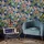 Envy Vliestapete So Exotic Night and Day 53 cm 10 m blau/mehrfarbig