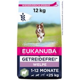 Eukanuba Welpenfutter getreidefrei mit Lamm für kleine und mittelgroße Rassen - Trockenfutter ohne Getreide für Junior Hunde, 12 kg