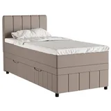 panda möbel gmbh Boxbett Avalon besteht aus: Kopfteil mit Bettkast, Matratze und Topper, 90x200, 100x200, 120x200, Boxbett mit Bettkasten und Topper beige
