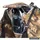 thinkTANK Think Tank. Hydrophobia D 24-70 V3 Realtree APX Kamerahülle