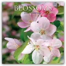 brown trout-auslieferer flechsig Blossoms – Blüten 2026 – 16-Monatskalender