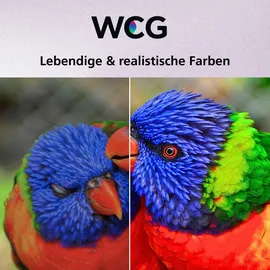 JVC LT-43VRQ3555 43" 4K QLED Smart TV