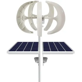 Windgenerator 12V 600W Windturbine Weiße Laterne Windkraftanlage mit 5 Blätter Generator Vertikale für Windrad