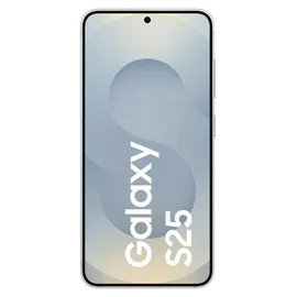 Samsung Galaxy S25 5G Enterprise Edition 256 GB Silver Shadow