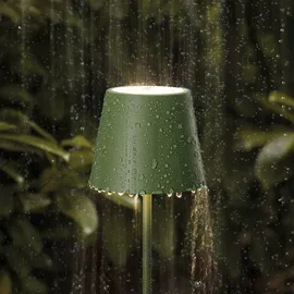 Sigor Nuindie mini tannengrün USB-C