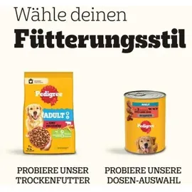 PEDIGREE Gemischte Selektion in Sauce 24 x 100 g