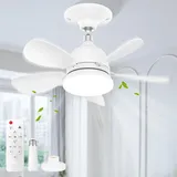 Ambesty Deckenleuchte mit Ventilator,Deckenventilator mit Beleuchtung, Sockel Verlängerungsstange, Klein Leise 3 Windstufen, Timer Funktion, Deckenventilator für Wohnzimmer Schlafzimmer